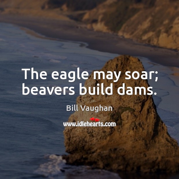 The eagle may soar; beavers build dams. Bill Vaughan Picture Quote