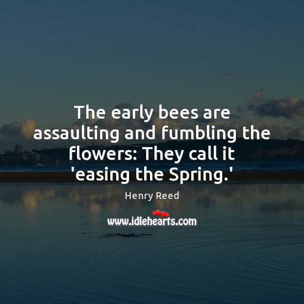 The early bees are assaulting and fumbling the flowers: They call it ‘easing the Spring.’ Henry Reed Picture Quote