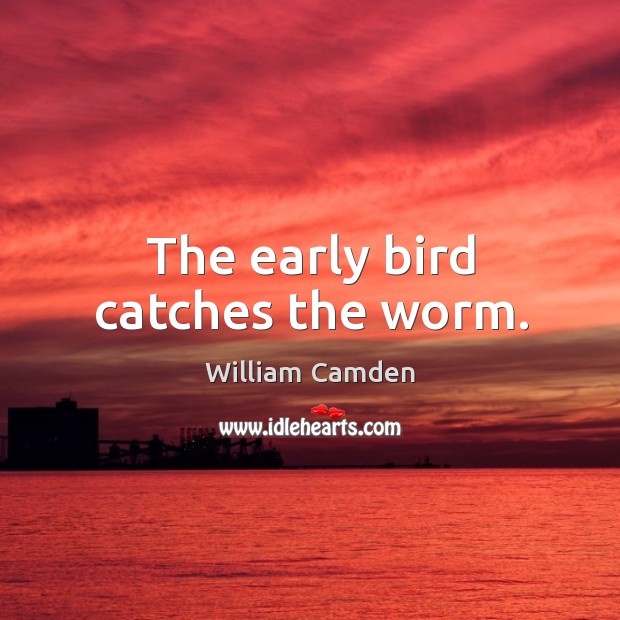 The early bird catches the worm. Image