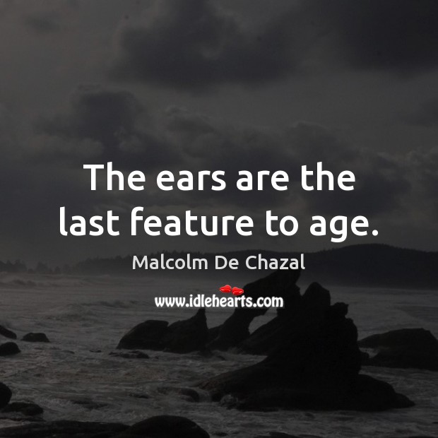 The ears are the last feature to age. Image