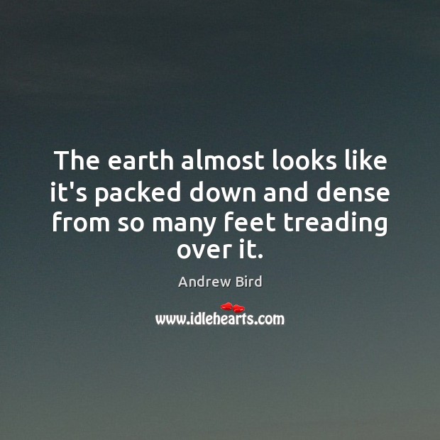 The earth almost looks like it’s packed down and dense from so many feet treading over it. Andrew Bird Picture Quote