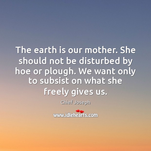 The earth is our mother. She should not be disturbed by hoe Chief Joseph Picture Quote