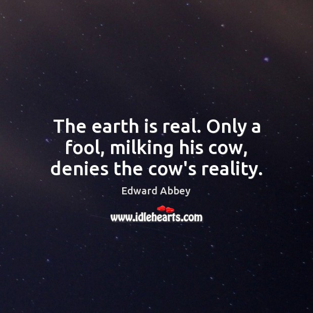 The earth is real. Only a fool, milking his cow, denies the cow’s reality. Edward Abbey Picture Quote