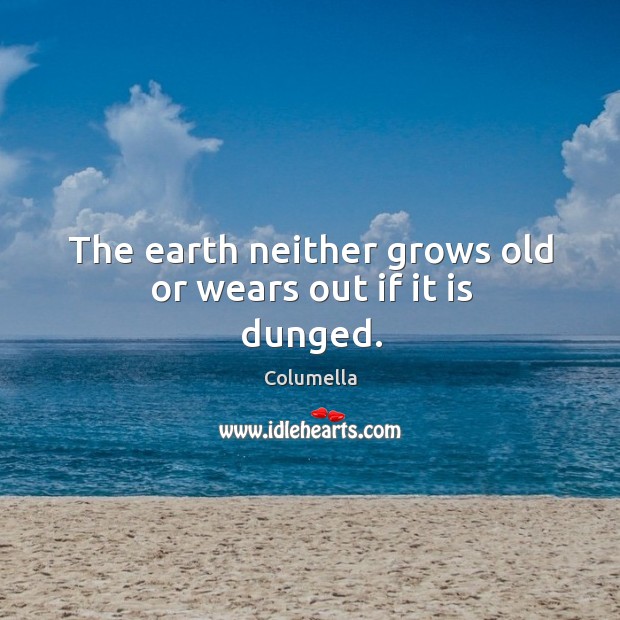 The earth neither grows old or wears out if it is dunged. Columella Picture Quote