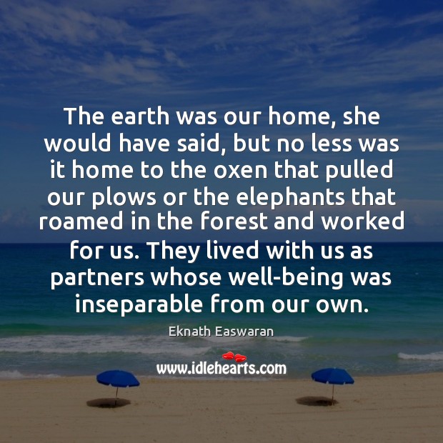The earth was our home, she would have said, but no less Image