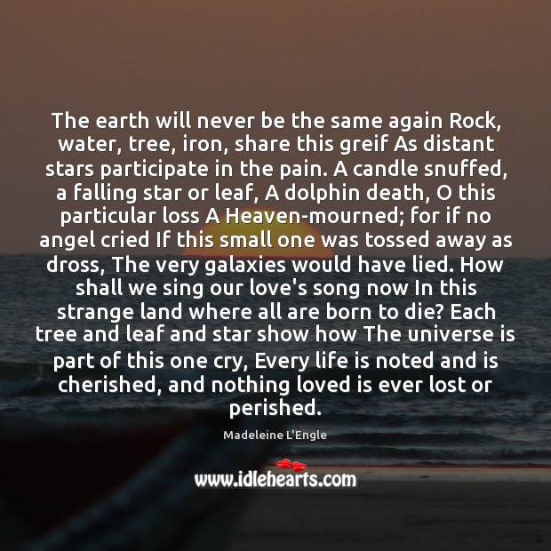 The earth will never be the same again Rock, water, tree, iron, Madeleine L’Engle Picture Quote