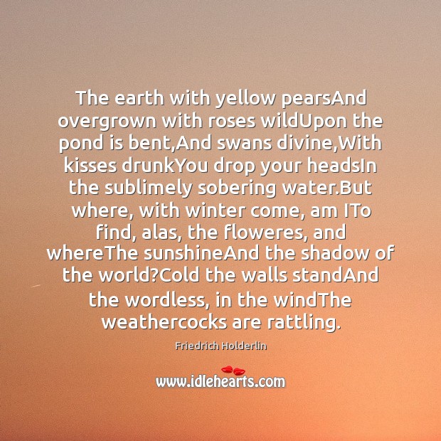 The earth with yellow pearsAnd overgrown with roses wildUpon the pond is Friedrich Holderlin Picture Quote