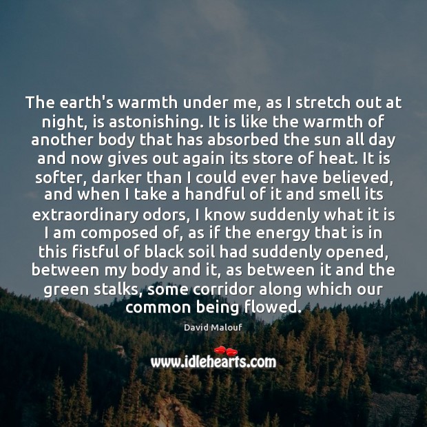 The earth’s warmth under me, as I stretch out at night, is David Malouf Picture Quote