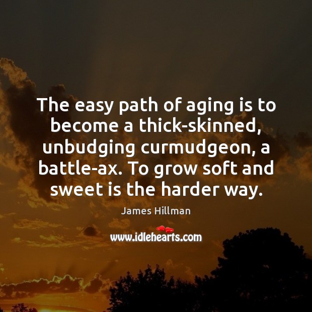 The easy path of aging is to become a thick-skinned, unbudging curmudgeon, James Hillman Picture Quote