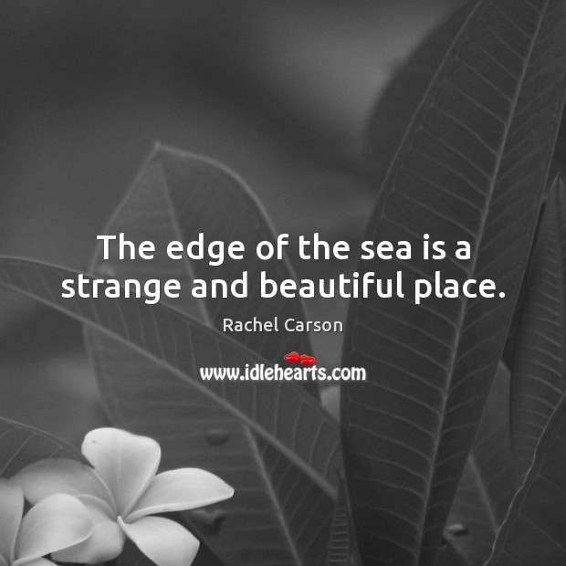 The edge of the sea is a strange and beautiful place. Rachel Carson Picture Quote