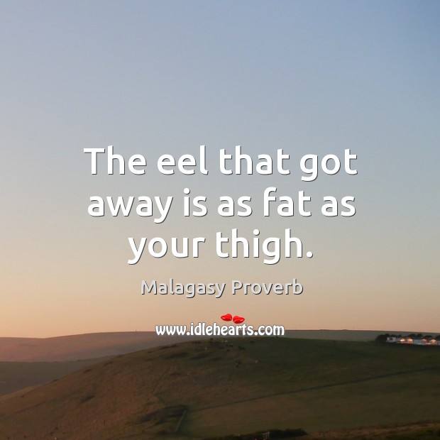 The eel that got away is as fat as your thigh. Malagasy Proverbs Image