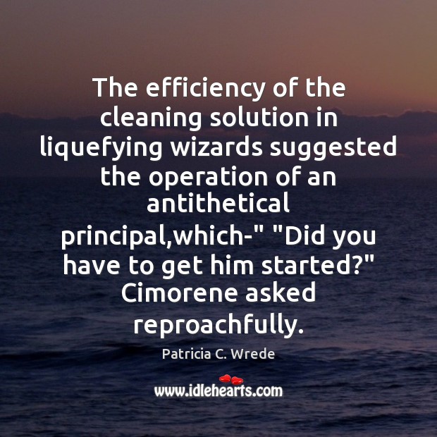 The efficiency of the cleaning solution in liquefying wizards suggested the operation Patricia C. Wrede Picture Quote