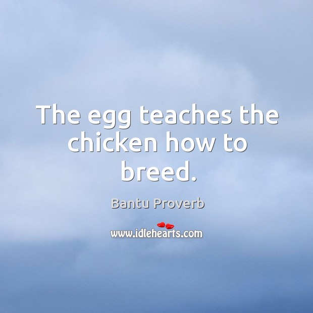The egg teaches the chicken how to breed. Bantu Proverbs Image