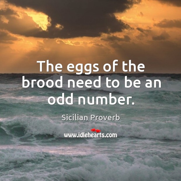 The eggs of the brood need to be an odd number. Sicilian Proverbs Image