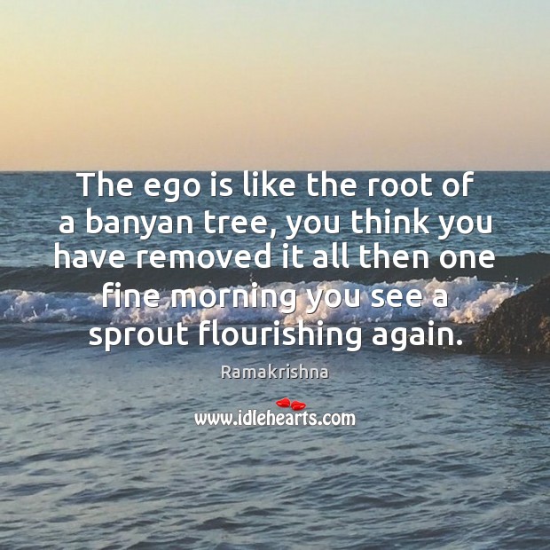 The ego is like the root of a banyan tree, you think Ramakrishna Picture Quote