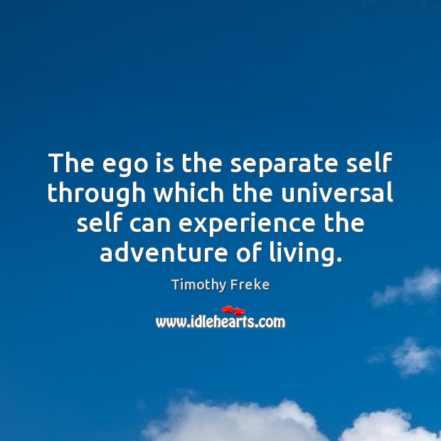 The ego is the separate self through which the universal self can Timothy Freke Picture Quote