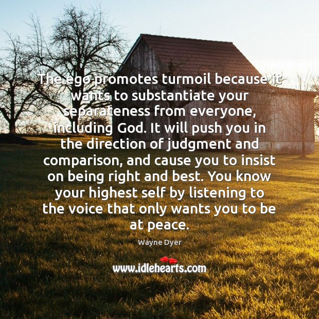 The ego promotes turmoil because it wants to substantiate your separateness from Wayne Dyer Picture Quote
