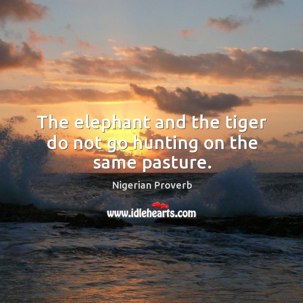 The elephant and the tiger do not go hunting on the same pasture. Nigerian Proverbs Image
