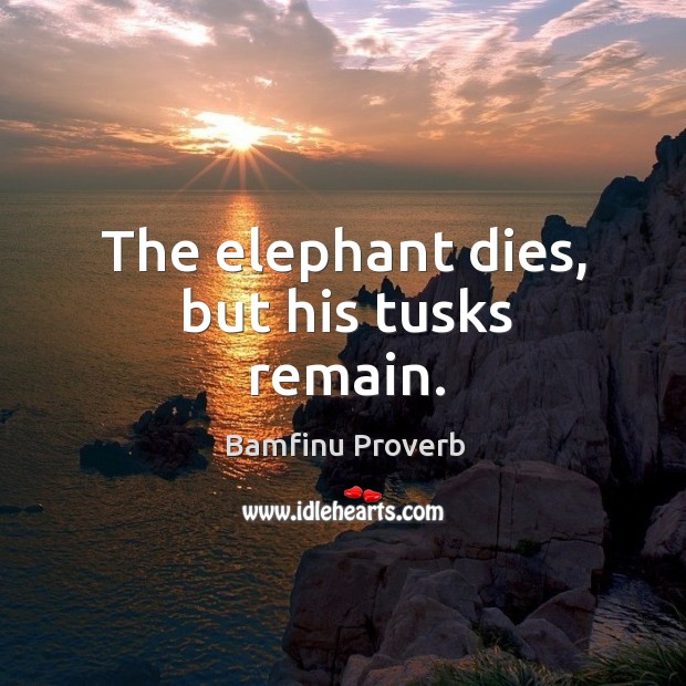 The elephant dies, but his tusks remain. Bamfinu Proverbs Image