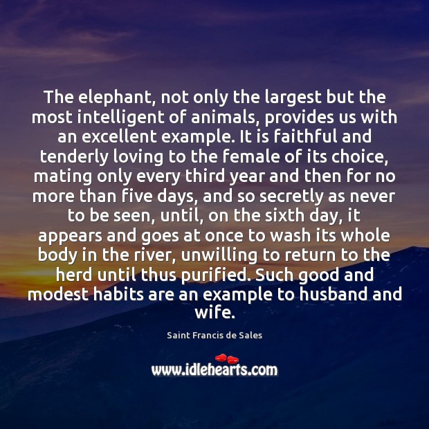 The elephant, not only the largest but the most intelligent of animals, Faithful Quotes Image
