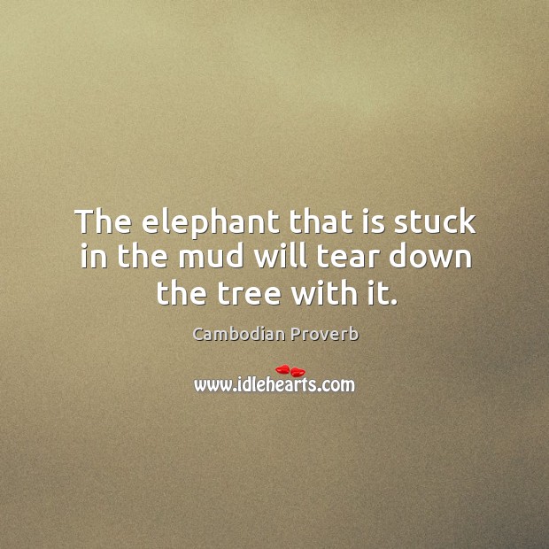 The elephant that is stuck in the mud will tear down the tree with it. Cambodian Proverbs Image