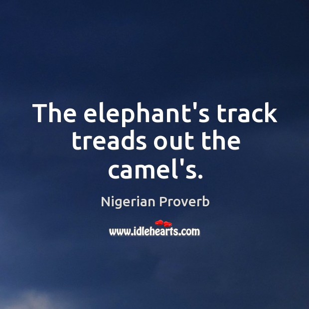 The elephant’s track treads out the camel’s. Nigerian Proverbs Image