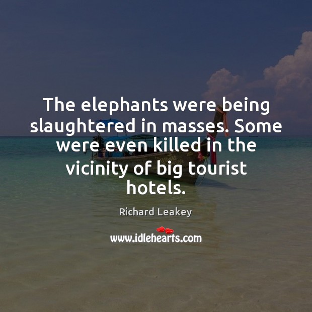 The elephants were being slaughtered in masses. Some were even killed in Richard Leakey Picture Quote