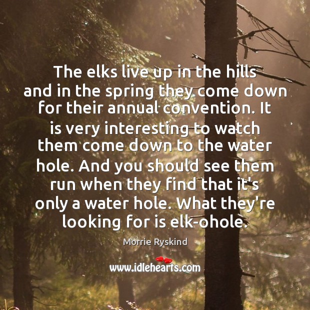 The elks live up in the hills and in the spring they Morrie Ryskind Picture Quote