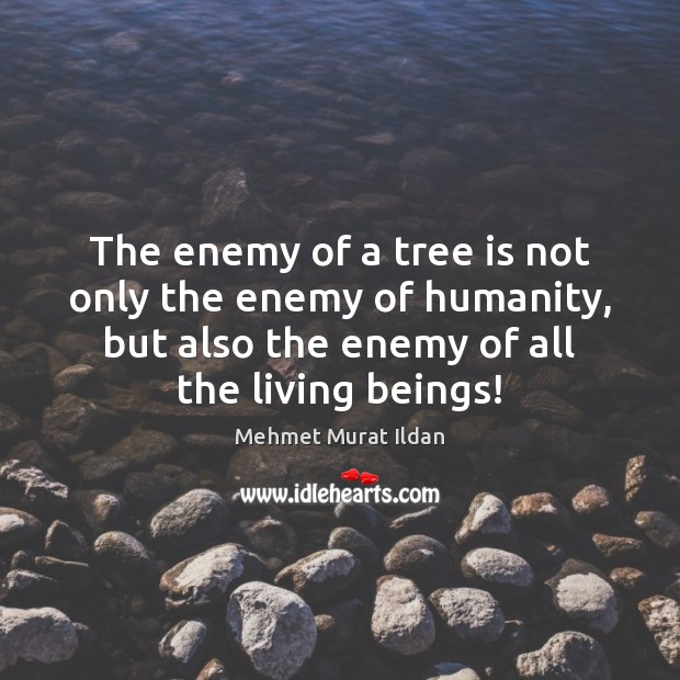 The enemy of a tree is not only the enemy of humanity, Mehmet Murat Ildan Picture Quote