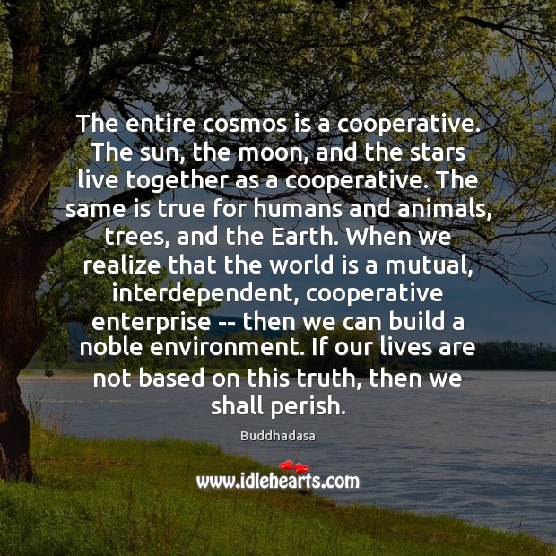 The entire cosmos is a cooperative. The sun, the moon, and the Buddhadasa Picture Quote