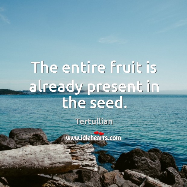 The entire fruit is already present in the seed. Tertullian Picture Quote