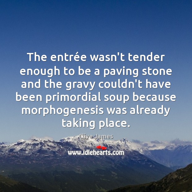 The entrée wasn’t tender enough to be a paving stone and Clive James Picture Quote