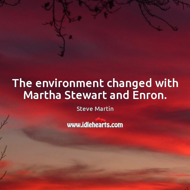 The environment changed with Martha Stewart and Enron. Steve Martin Picture Quote