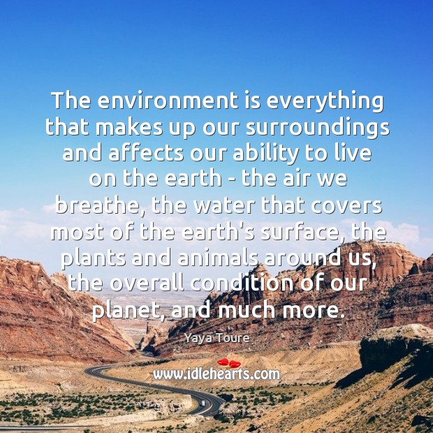 The environment is everything that makes up our surroundings and affects our Yaya Toure Picture Quote