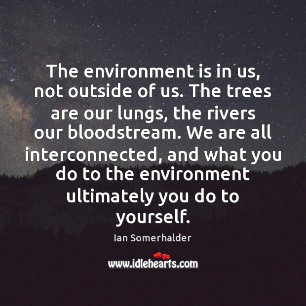 The environment is in us, not outside of us. The trees are Ian Somerhalder Picture Quote