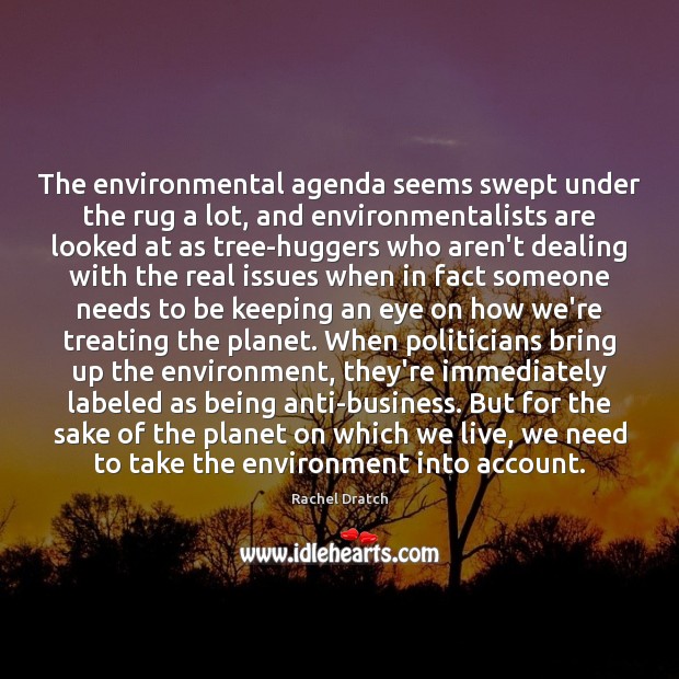 The environmental agenda seems swept under the rug a lot, and environmentalists Rachel Dratch Picture Quote