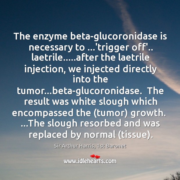 The enzyme beta-glucoronidase is necessary to …’trigger off’.. laetrile…..after the laetrile Image