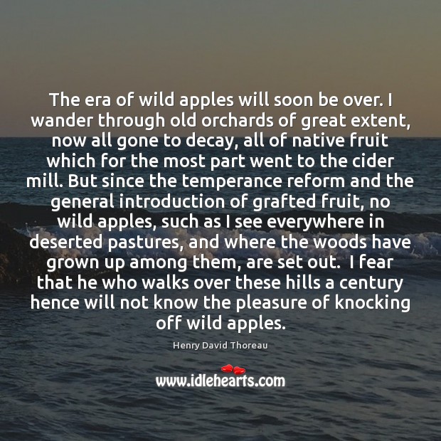 The era of wild apples will soon be over. I wander through Henry David Thoreau Picture Quote