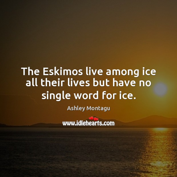The Eskimos live among ice all their lives but have no single word for ice. Ashley Montagu Picture Quote