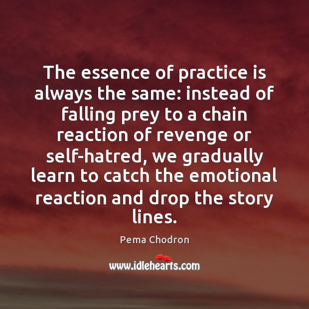 The essence of practice is always the same: instead of falling prey Pema Chodron Picture Quote