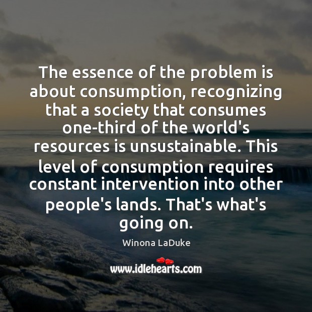 The essence of the problem is about consumption, recognizing that a society Winona LaDuke Picture Quote
