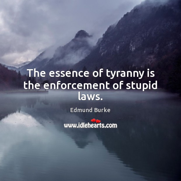 The essence of tyranny is the enforcement of stupid laws. Edmund Burke Picture Quote