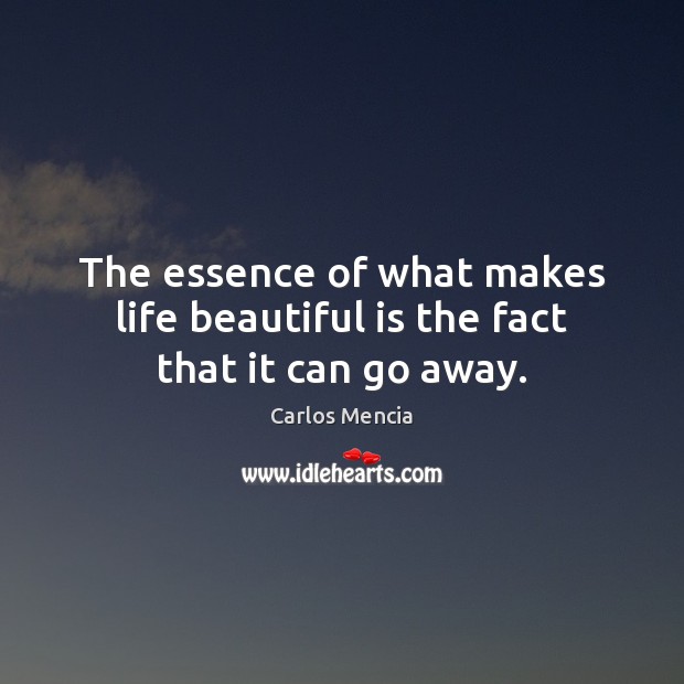 The essence of what makes life beautiful is the fact that it can go away. Image