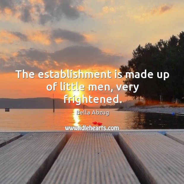The establishment is made up of little men, very frightened. Bella Abzug Picture Quote