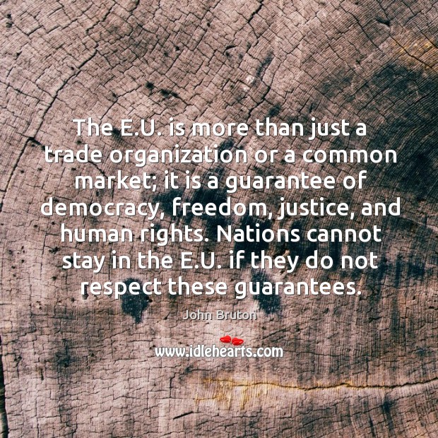 The e.u. Is more than just a trade organization or a common market; it is a guarantee of democracy John Bruton Picture Quote