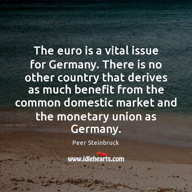 The euro is a vital issue for Germany. There is no other Peer Steinbruck Picture Quote