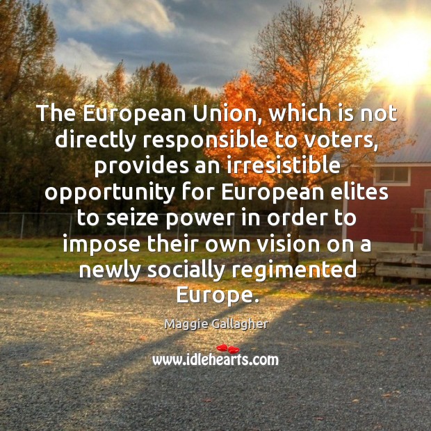 The european union, which is not directly responsible to voters Maggie Gallagher Picture Quote