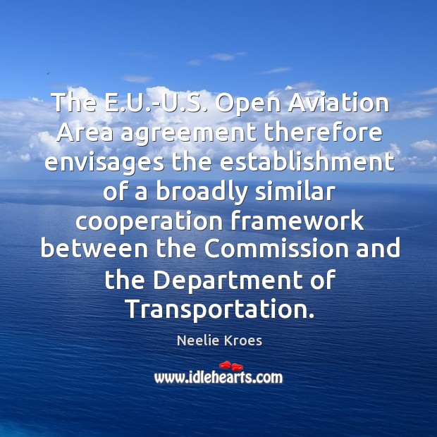 The E.U.-U.S. Open Aviation Area agreement therefore envisages the Image