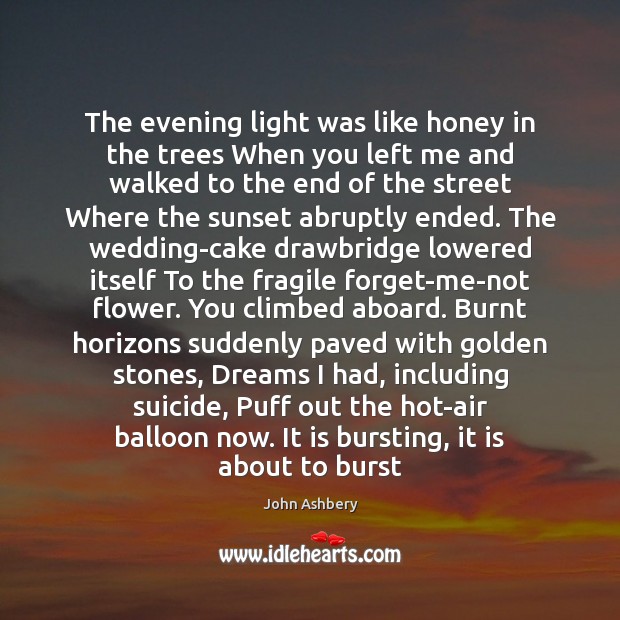 The evening light was like honey in the trees When you left John Ashbery Picture Quote