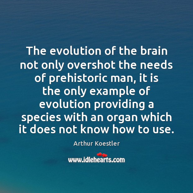 The evolution of the brain not only overshot the needs of prehistoric Image